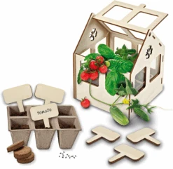 SES Creative Bouw Je Eigen Kas - Incl. Zaadjes