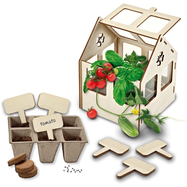 SES Creative SES Creativ E® Kas Met Groenten 3 SES Creative SES Creativ E® Kas Met Groenten - Afbeelding 3