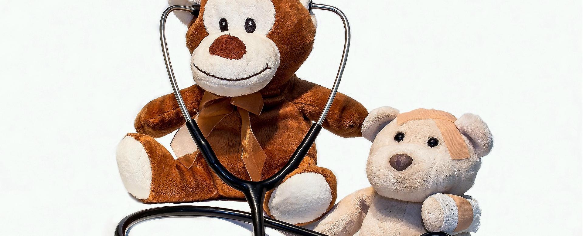 SES Creative Winkel 1 SES Creative Winkel -SES Creative Winkel teddy bears 1936200 1920